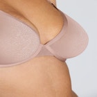 The Plunge - Mesh image number null