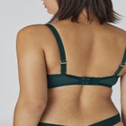 The Plunge - Mesh image number null