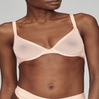 The Plunge - Mesh image number null