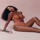 The Plunge - Mesh image number null