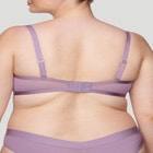 The Plunge - Mesh image number null