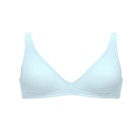 The Mesh Wireless Plunge image number null