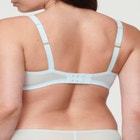 The Mesh Wireless Plunge image number null