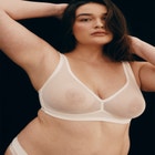 The Wireless Plunge - Mesh image number null