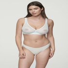 The Mesh Wireless Plunge image number null