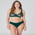 The Wireless Plunge - Mesh image number null