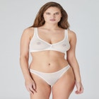 The Wireless Plunge - Mesh image number null